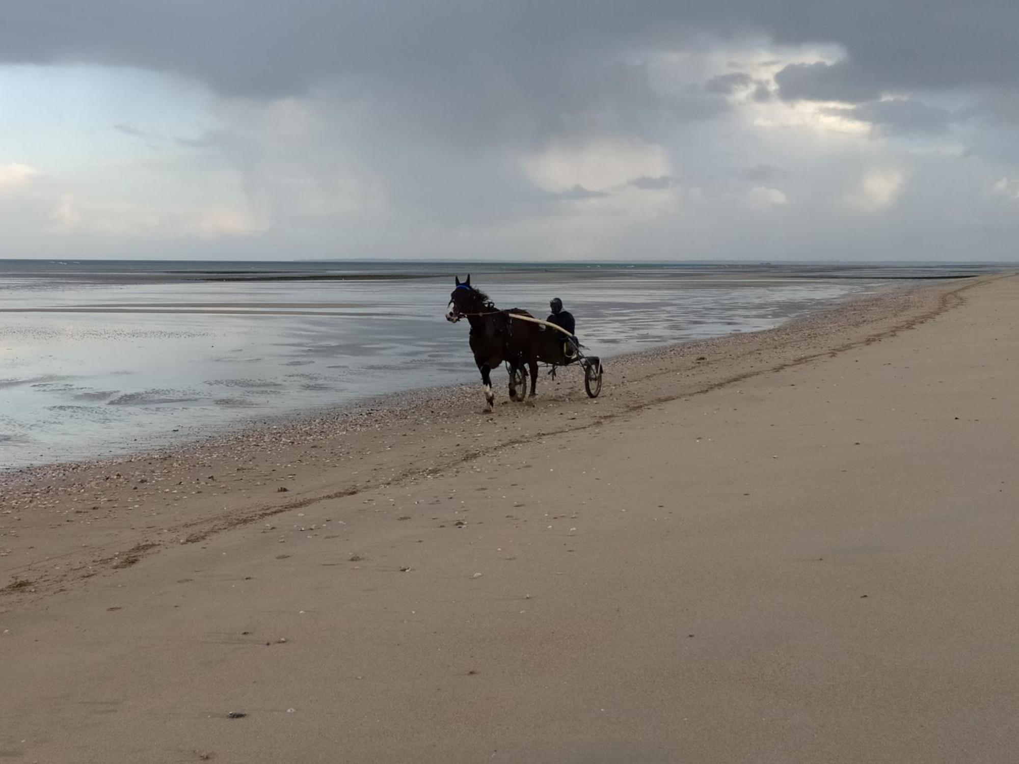 Gîtes Plage ou Pieds dans l'Eau Asnelles Extérieur photo